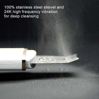 Premium Ultrasonic Skin Scrubber